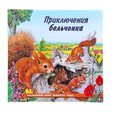 «Приключения бельчонка», Гурина И. В.