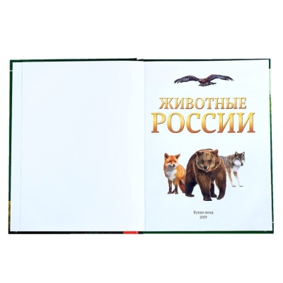 Детская энциклопедия в твёрдом переплёте «Животные России», 48 стр.