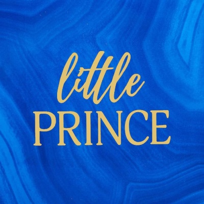 Нагрудник для кормления «Little prince» непромокаемый на липучке