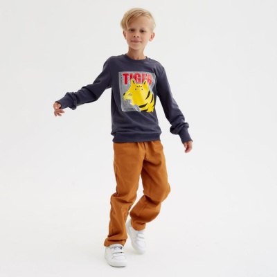 Свитшот для мальчика MINAKU: Casual Collection KIDS цвет графит, рост 146